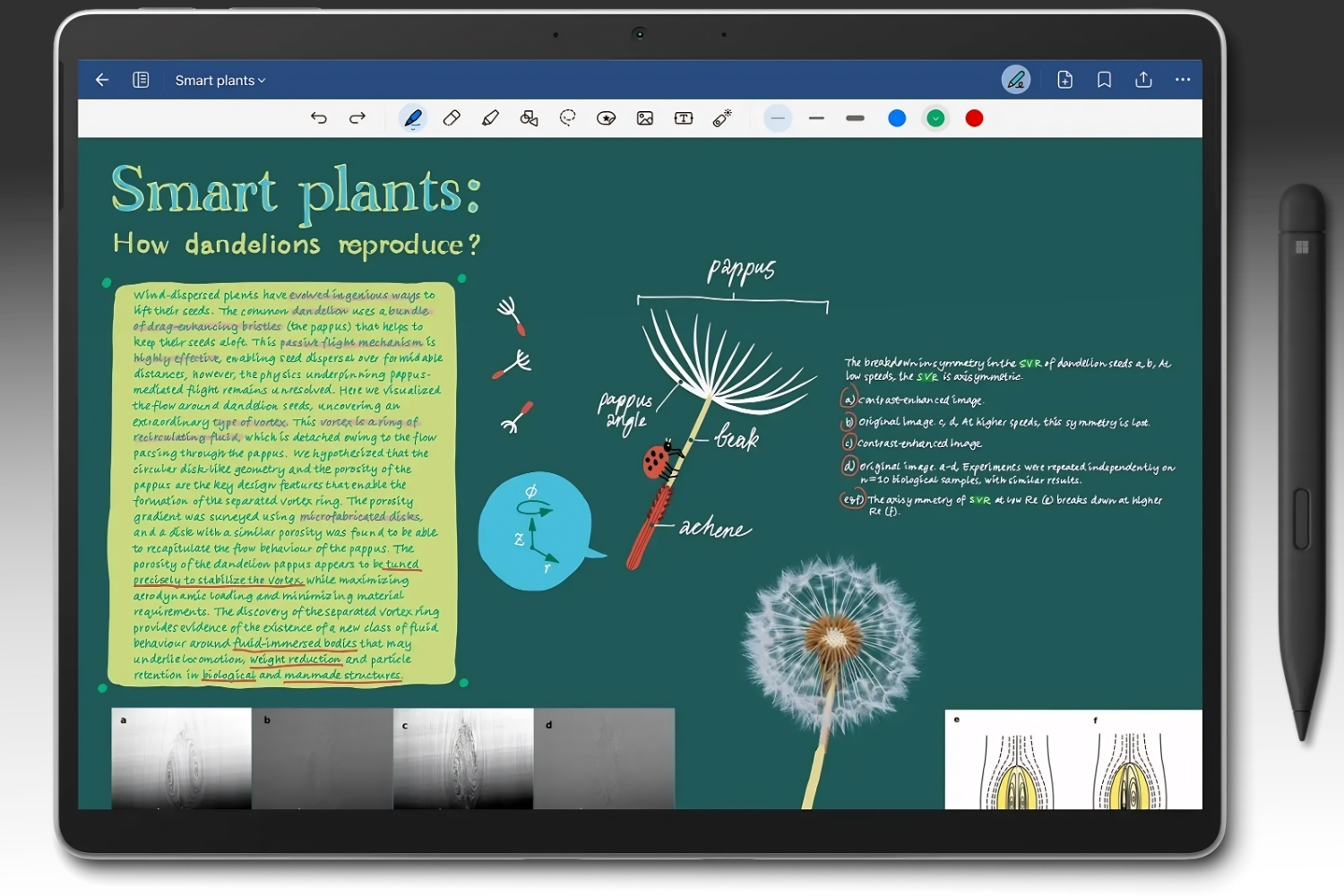 GoodNotes vs Notability: Which Is Better for Architecture Students?