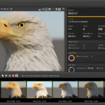 Houdini Alternatives for Architects: 7 Practical Options Compared