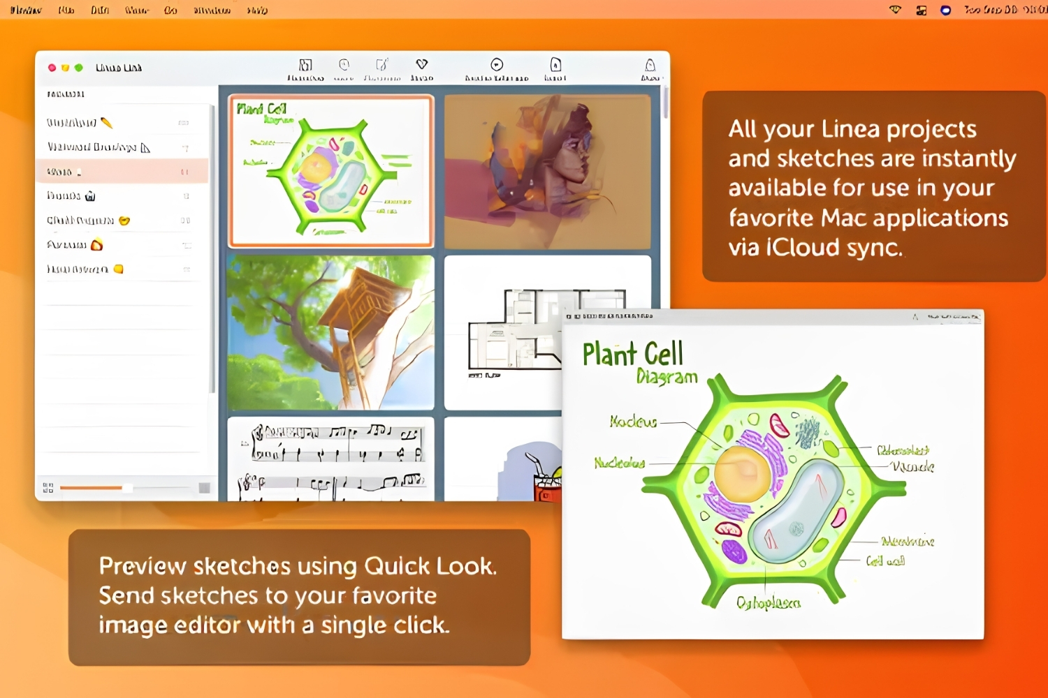 Linea Link Review: Fast Sketching From iPad to Mac Without the Clutter