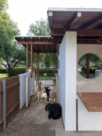 Goats by the brick entrance and round window of Anima Pavilion, Atelier Pensee Suzhou