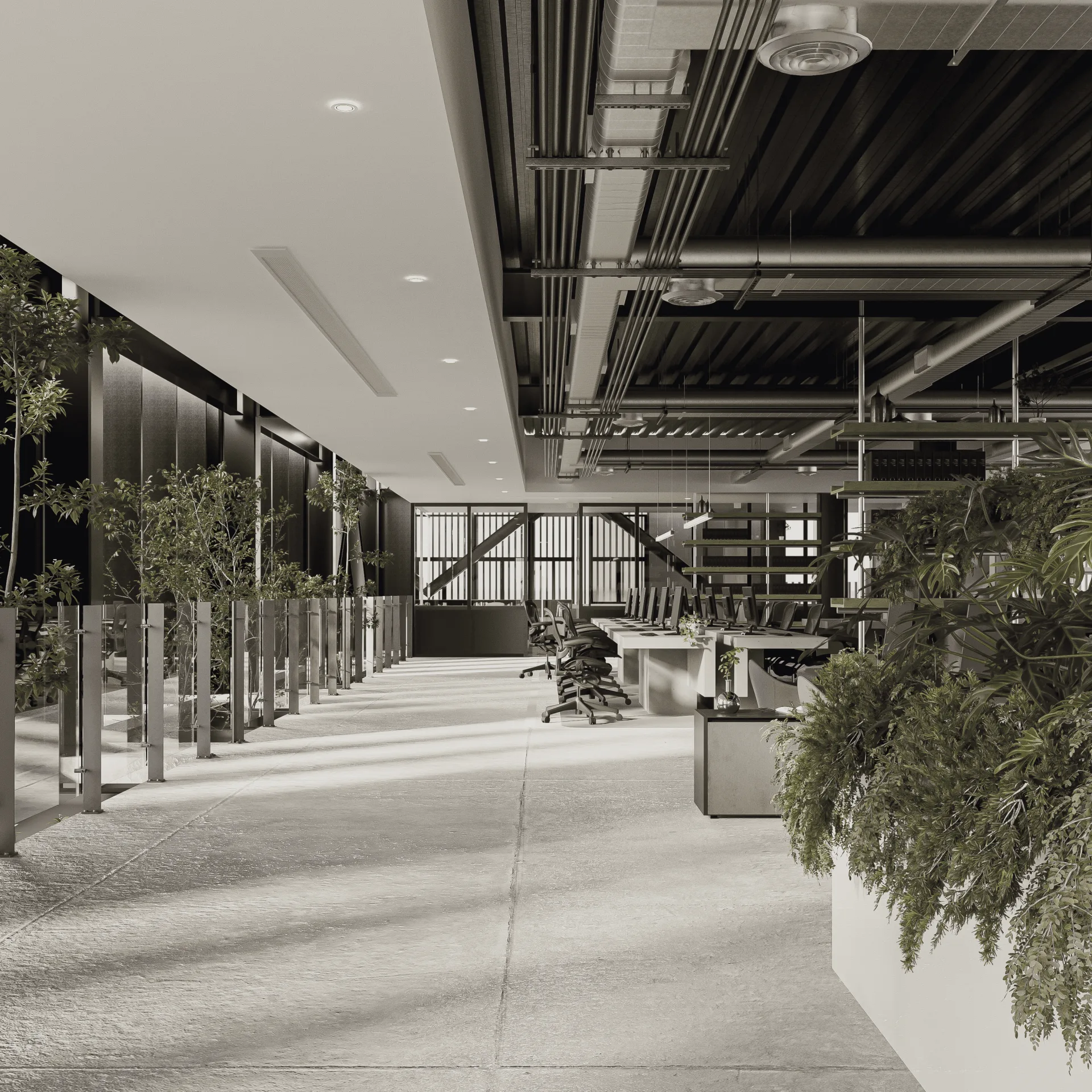 Open plan commercial interior with planting used to define zones without building walls