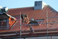 Anatomy of a Wet-Climate Roof: The Engineering Behind High-Performance Roofing