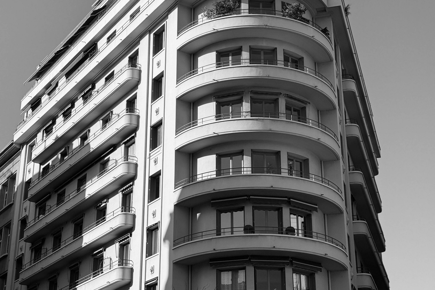 What Is Fenestration in Architecture? Meaning, Types, and Design