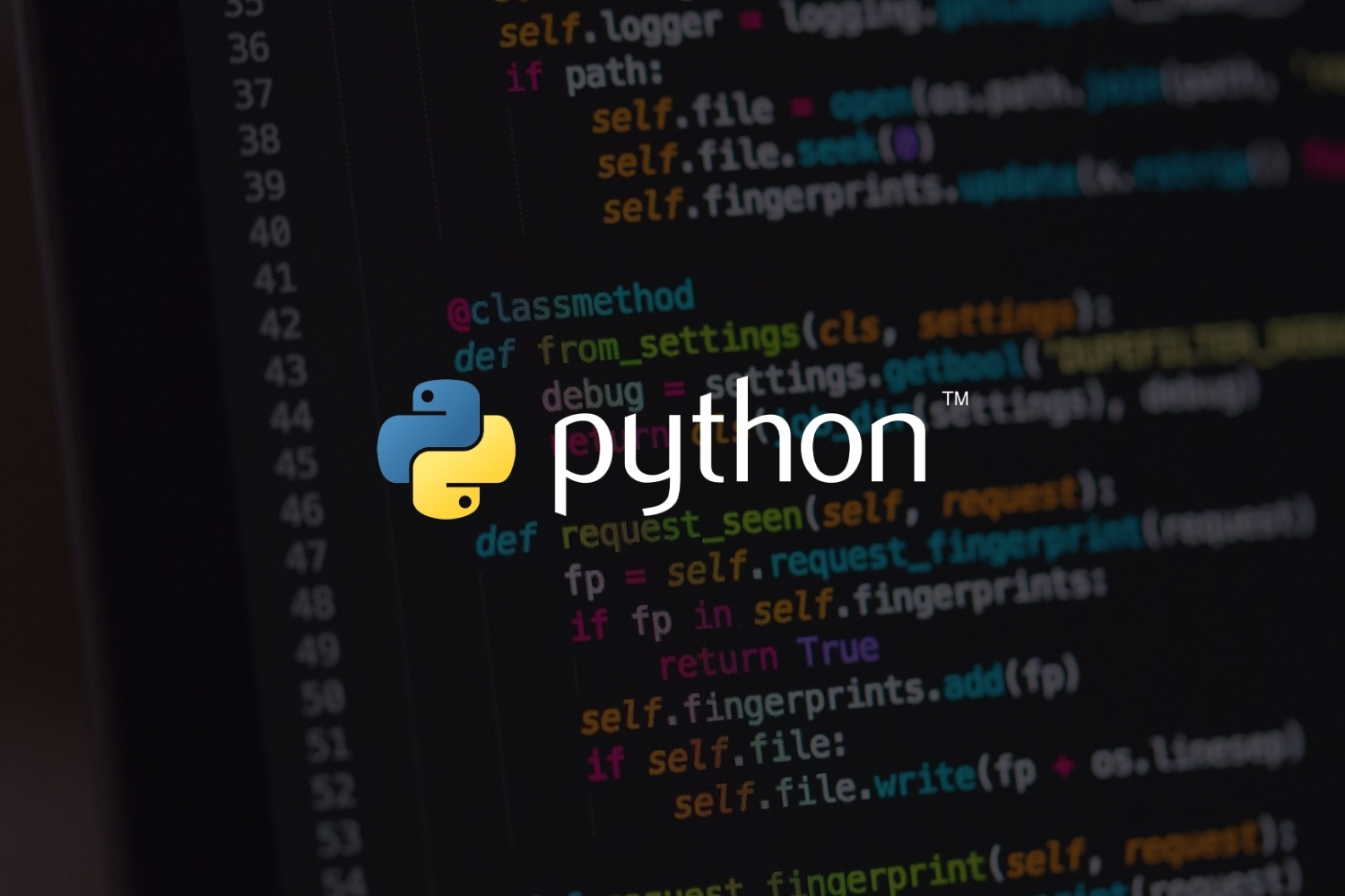 Python or Grasshopper: Which Should Architecture Students Learn First?