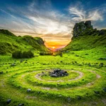 Creating a Beautiful Landscape That Adds Long-Term Value to Your Home