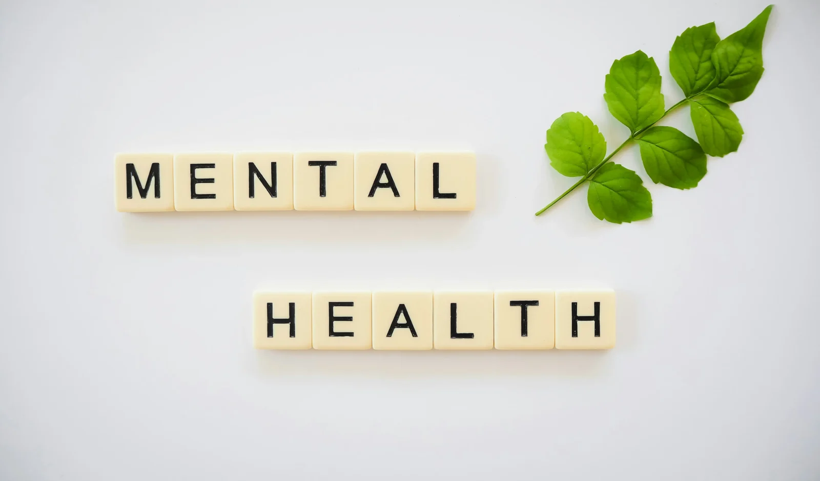 Why Mental Performance Matters in High-Pressure Design Professions