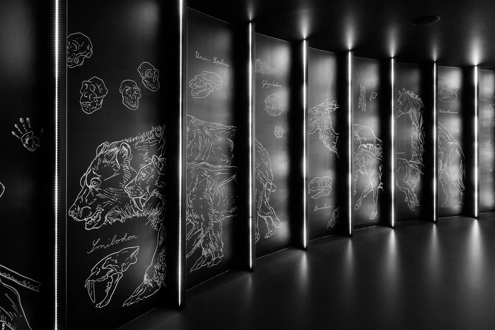 Ice age animals drawn in fine white line work across black wall panels lit by vertical LED strips at Dinosauria Museum Prague