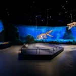 Dinosauria Museum Prague by archicraft