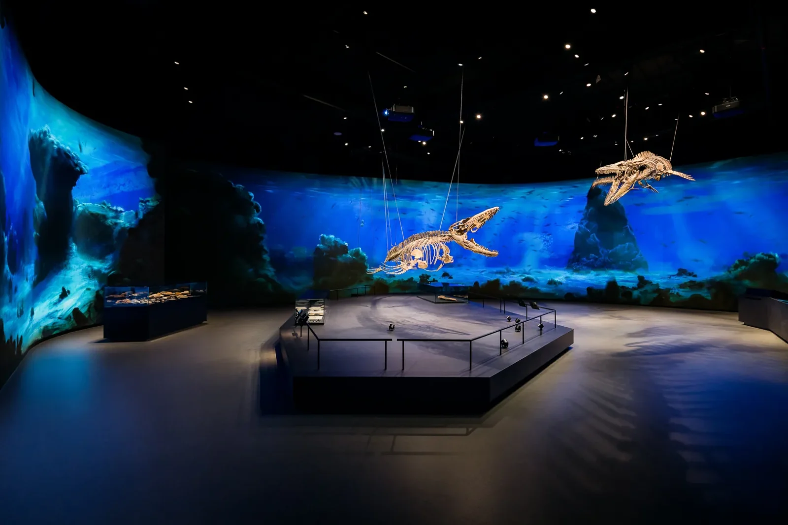 Dinosauria Museum Prague by archicraft