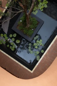 Lily pads in the courtyard pond at Da Homestay by 3fconcept