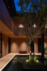 The lit courtyard tree at Da Homestay by 3fconcept