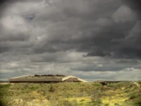 The library low on a ridge under a heavy grey sky, its living roof merging into the land