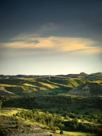 Green eroded buttes and ravines of the North Dakota Badlands with scattered juniper