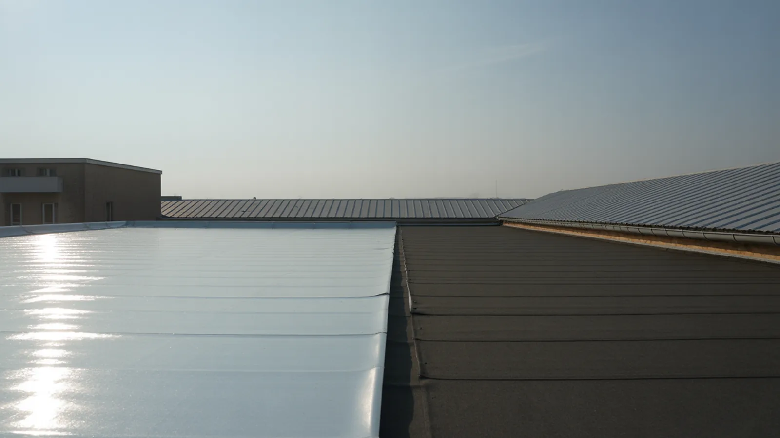 Bright white TPO membrane roof beside a dark asphalt roof at midday, showing the reflectivity difference