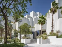Palms and desert planting in the forecourt of Natural History Museum Abu Dhabi by Mecanoo