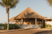 Rosa Jamaica Beach Club by Gris Estudio seen from the planting