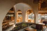 Planting between the dining tables at Rosa Jamaica Beach Club by Gris Estudio