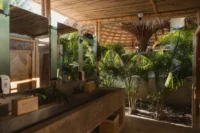 Back bar and planting at Rosa Jamaica Beach Club by Gris Estudio