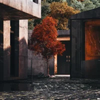 Rendering of the central courtyard with a shallow pool and a red maple between concrete walls, Savan House by Nobico Studio