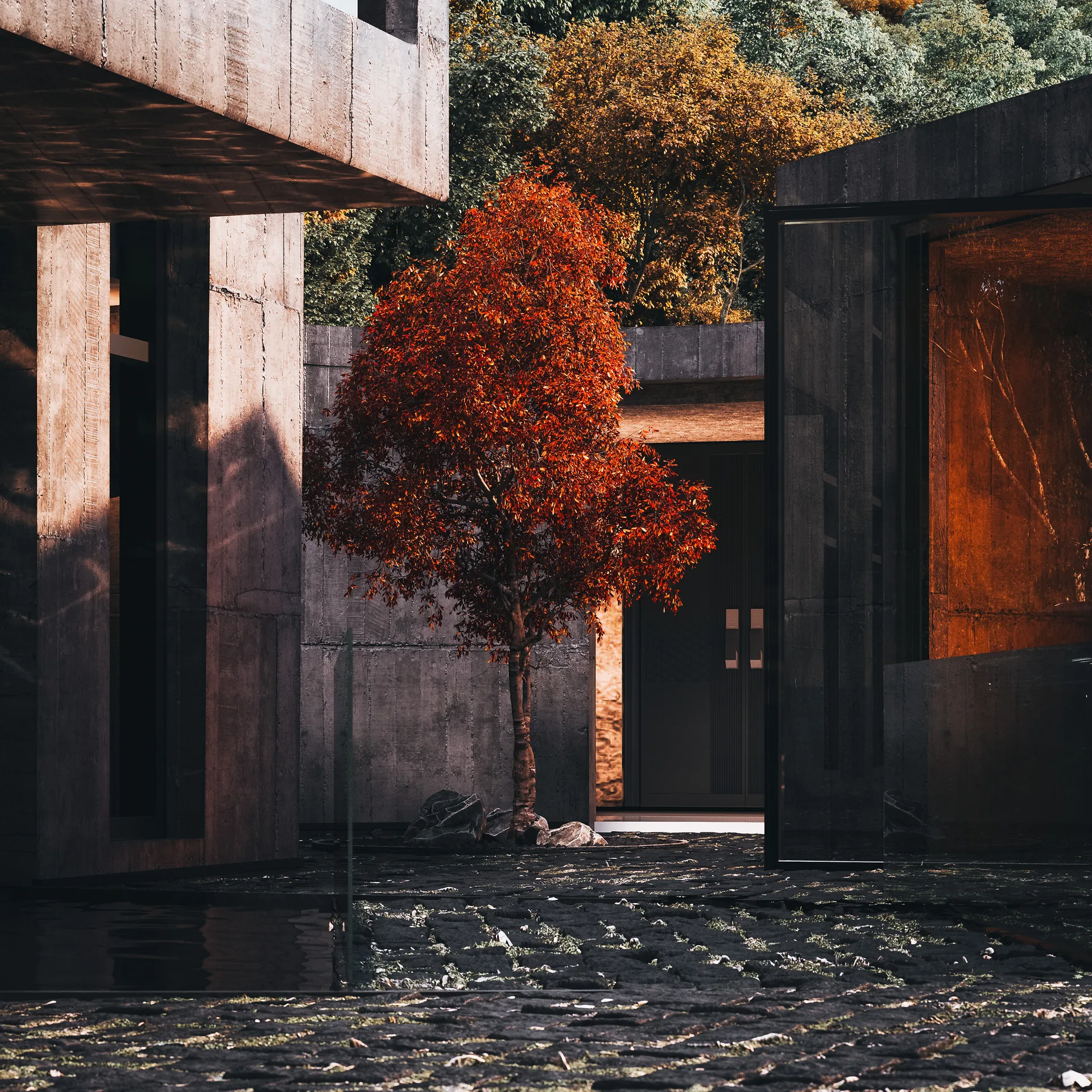 Rendering of the central courtyard with a shallow pool and a red maple between concrete walls, Savan House by Nobico Studio