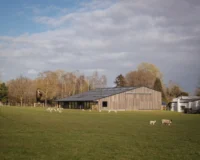 Sheep Field Barn by DSDHA across the sheep field at Perry Green