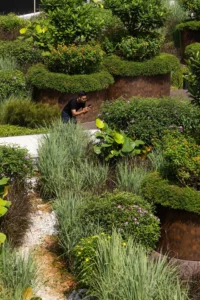 Visitor photographing flowering shrubs in raised weathering steel planters, Singapore Institute of Technology by Henning Larsen