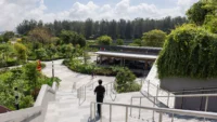 Person descending wide steps toward a covered pavilion with forest beyond, Singapore Institute of Technology by Henning Larsen