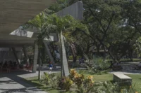 The canopy of Student Center Santa Marta among palms and mature trees