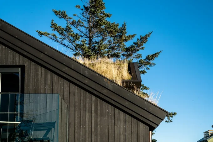 Yakisugi and Fire Classification: Two Essential Topics for Architects Working with Timber Facades in the UK