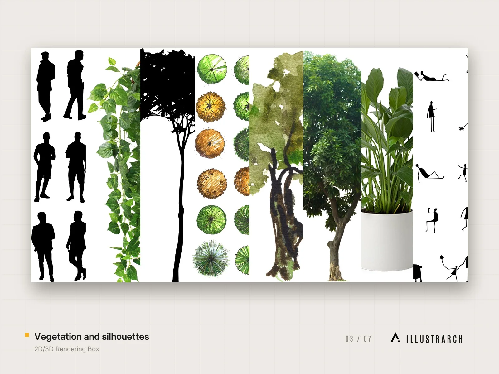 Vegetation and silhouettes