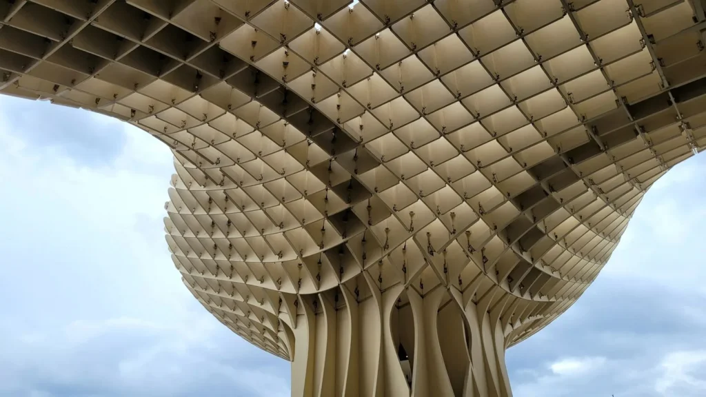 Underside of the Metropol Parasol in Seville, a waffle grid of timber cells on mushroom shaped columns