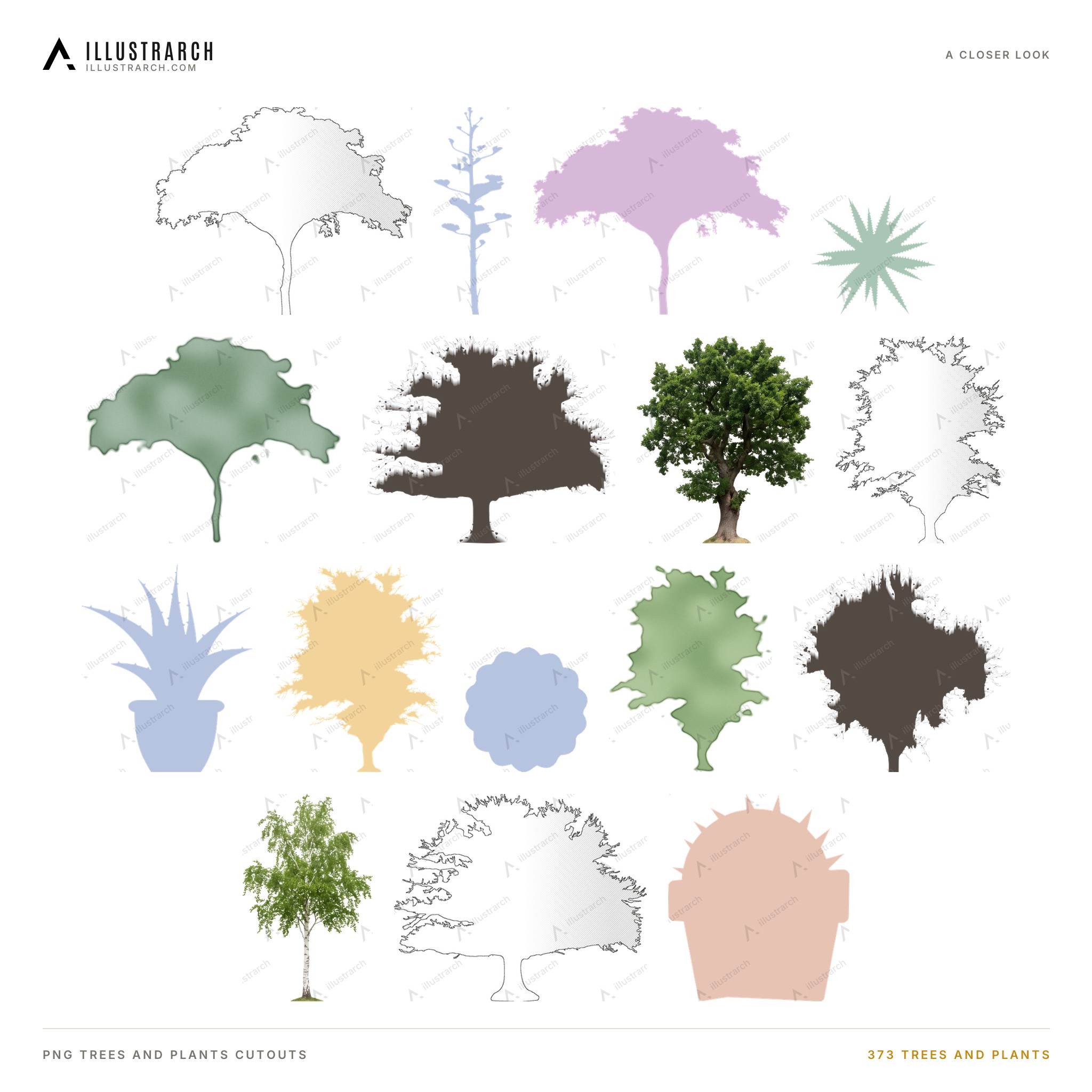 PNG Tree Cutouts: 373 Trees and Plants | illustrarch
