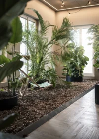 Indoor garden with palms in a planted bed and a deck chair by the windows, ADDITIVE HQ by NOA