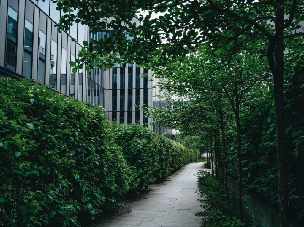Footpath threading between clipped hedges and trees beside a glass office building, a small slice of urban green spaces