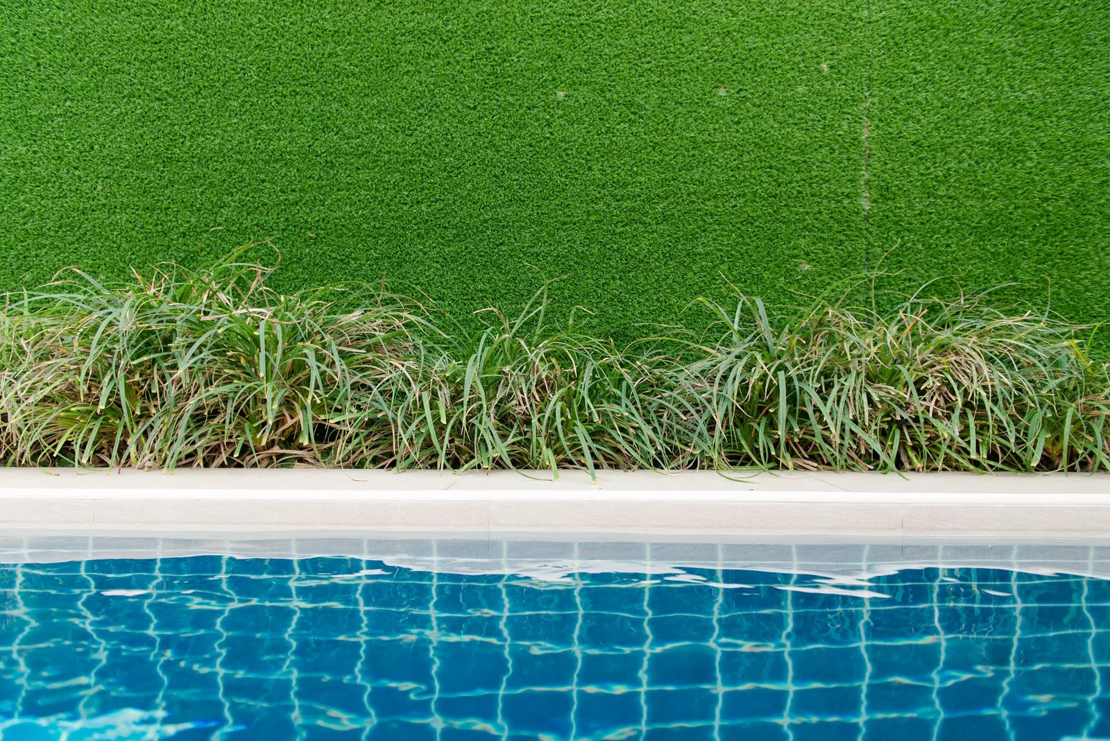 6 Features to Look for When Choosing Artificial Turf for a Yard