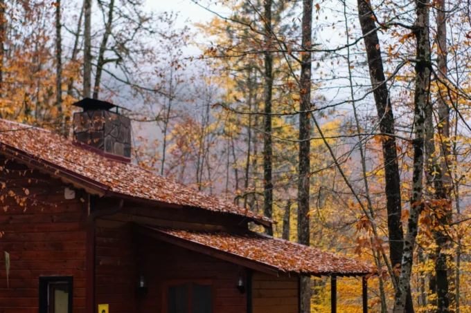 Essential Home Preparations to Make Before the End of Autumn