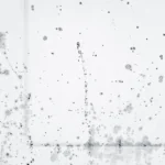 Black Mold in Architecture: A Silent Threat to Structural Integrity and Health