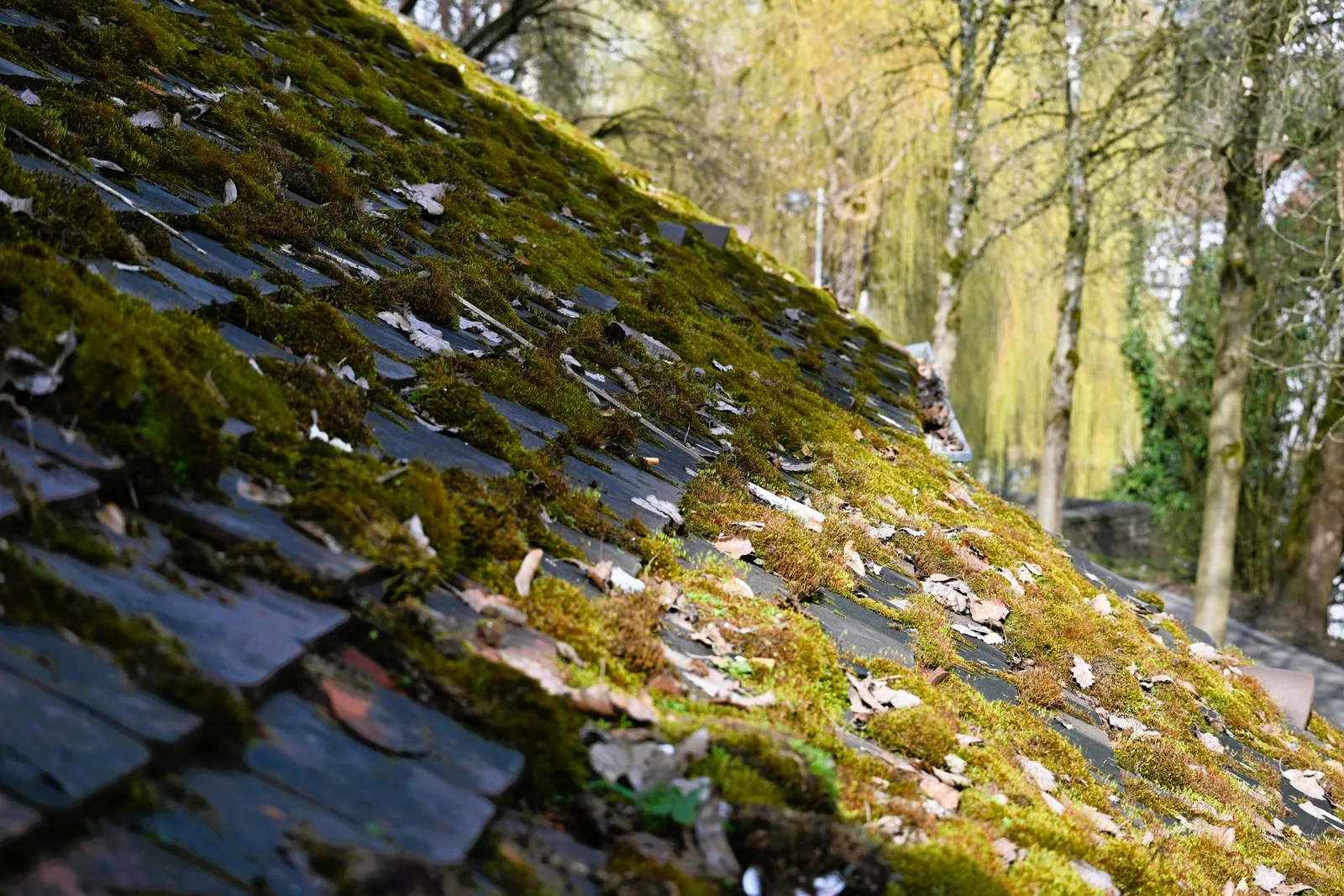 Signs It’s Time to Call in the Professionals for Your Roof