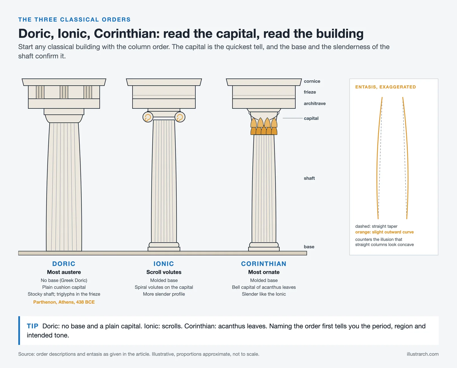 Doric, Ionic and Corinthian columns side by side with capitals, bases and entablature labeled, plus an entasis detail