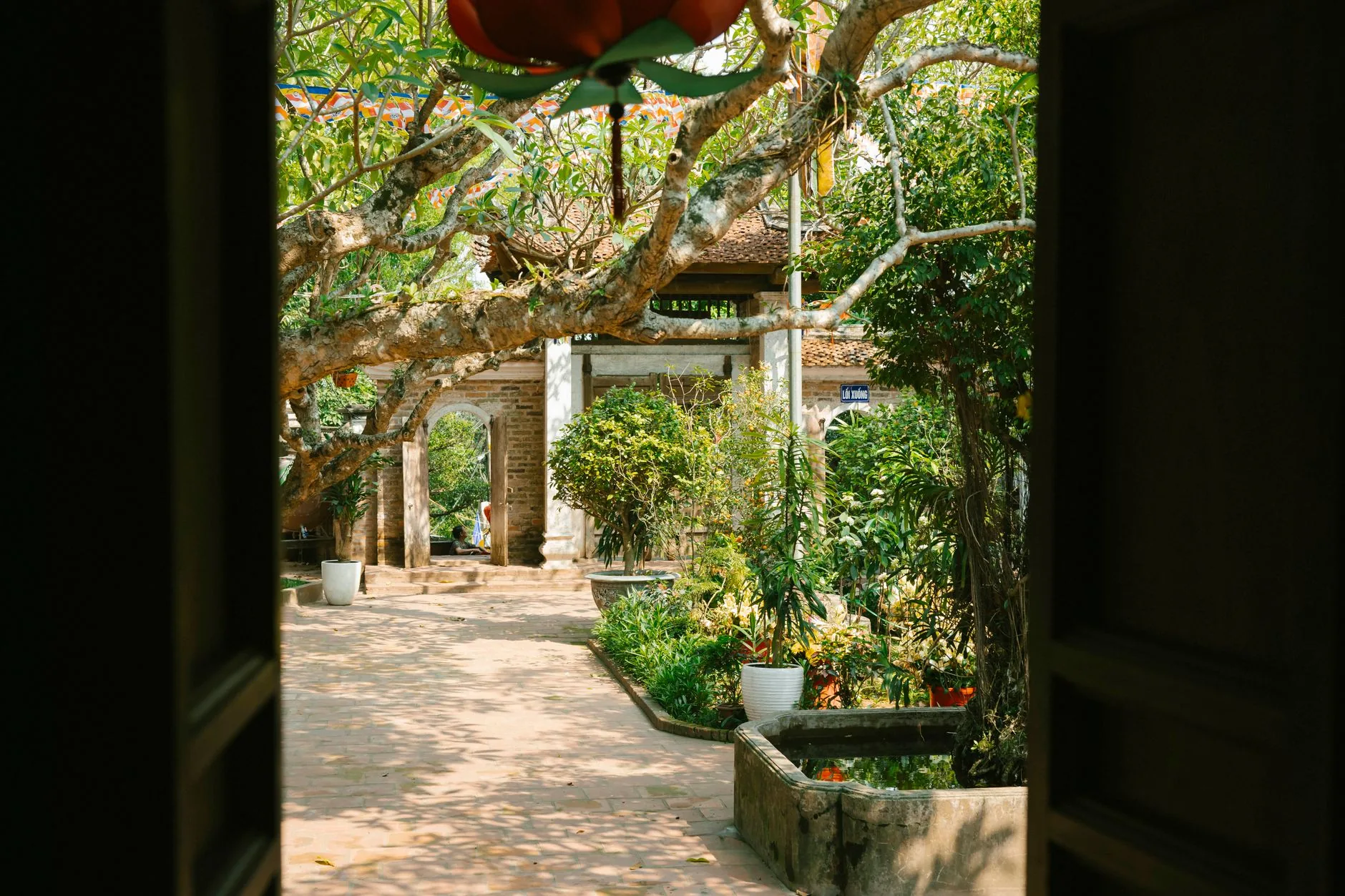 View through a dark open doorway into a paved garden courtyard with trees, potted plants and a stone gateway