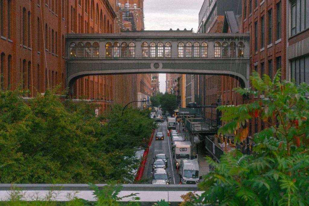 Dense planting along the High Line in New York, looking down a street lined with brick warehouses and a skybridge