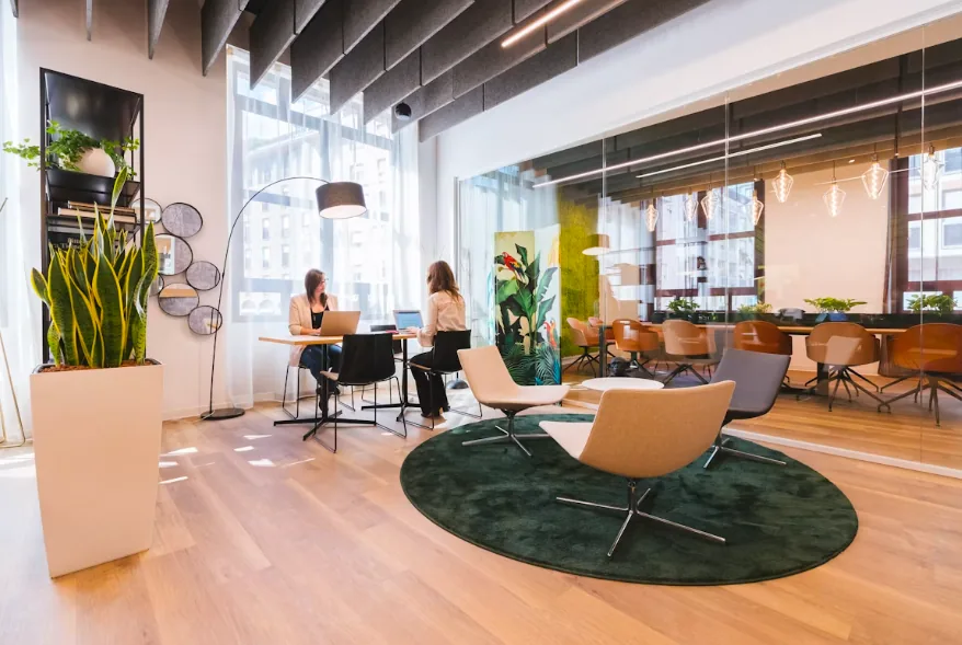 Daylit office lounge with planters, round green rug and glazed meeting rooms behind