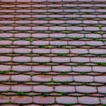 How to Extend the Life of Your Roof