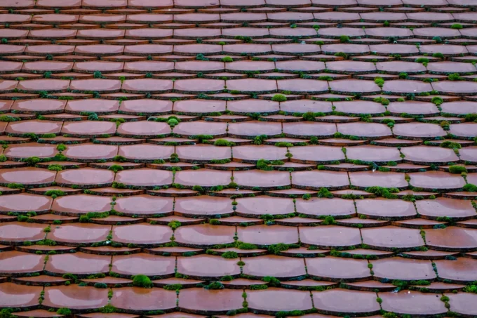How to Extend the Life of Your Roof