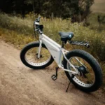 Fat Tire Electric Bikes: A Beginner’s Guide to Where You Can Ride Them