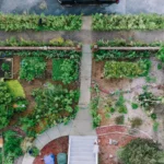 Beyond Pretty Plants: Why Good Garden Design Starts with a Masterplan