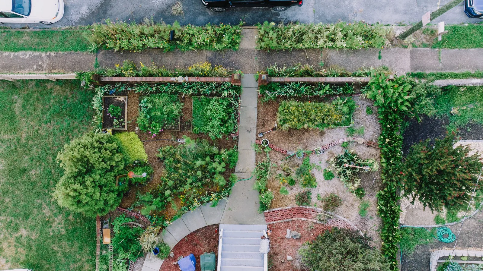 Beyond Pretty Plants: Why Good Garden Design Starts with a Masterplan