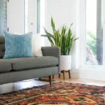 Restore Your Carpet’s Beauty with Professional Carpet Cleaning