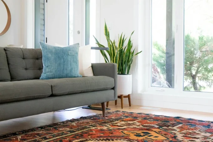 Restore Your Carpet’s Beauty with Professional Carpet Cleaning
