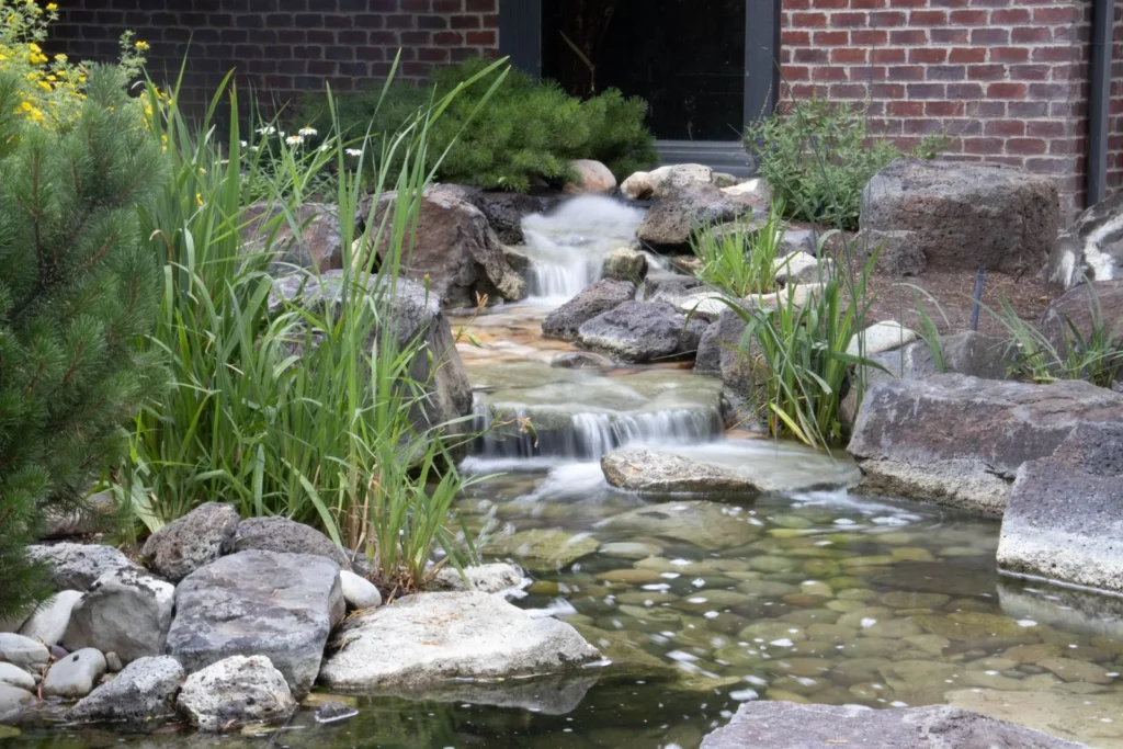 Small stream tumbling over rocks between grasses and shrubs in a landscaped garden, an example of healing gardens design with water